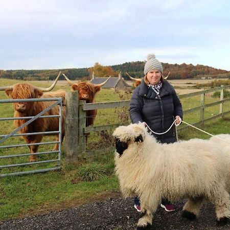 Вілла Glampods Glamping Pod - Meet Highland Cows And Sheep Елгін Екстер'єр фото