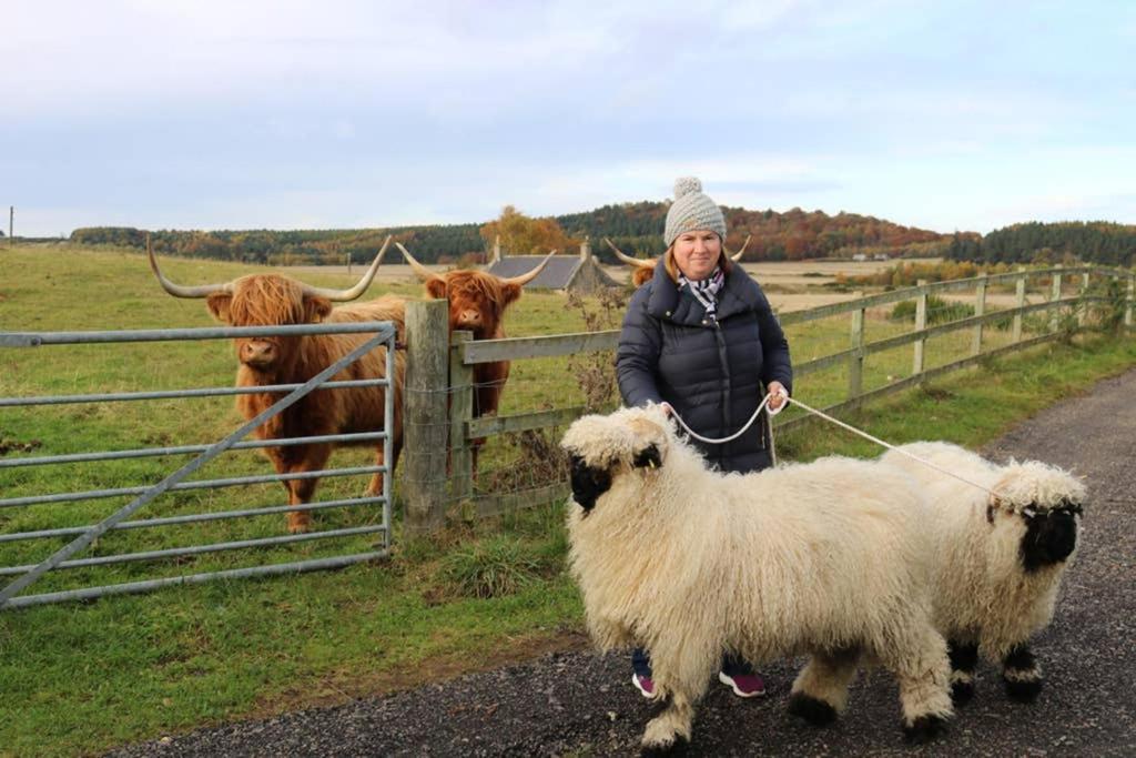 Вілла Glampods Glamping Pod - Meet Highland Cows And Sheep Елгін Екстер'єр фото
