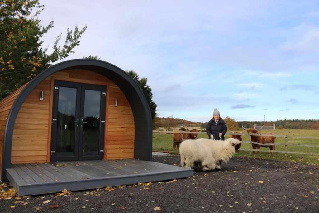 Вілла Glampods Glamping Pod - Meet Highland Cows And Sheep Елгін Екстер'єр фото