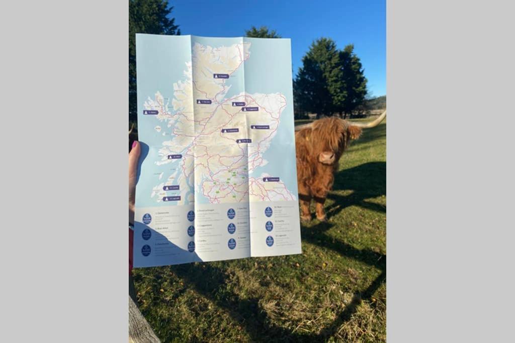 Вілла Glampods Glamping Pod - Meet Highland Cows And Sheep Елгін Екстер'єр фото