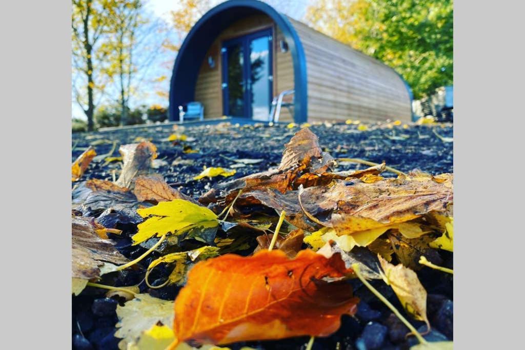 Вілла Glampods Glamping Pod - Meet Highland Cows And Sheep Елгін Екстер'єр фото